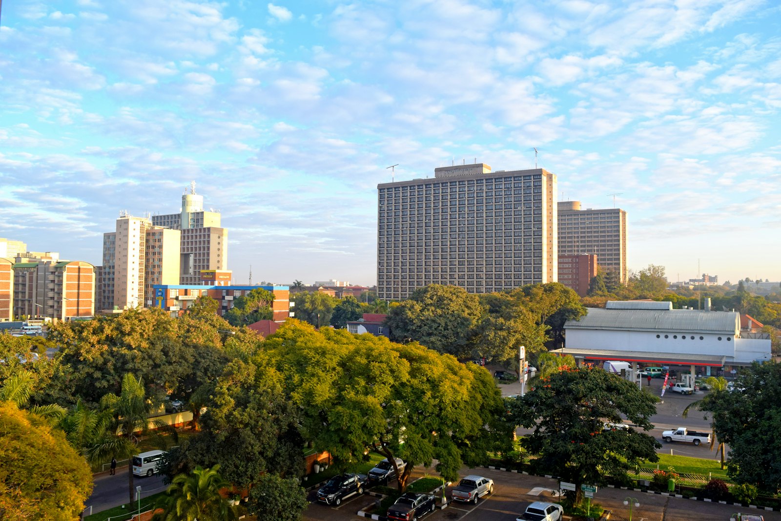 Harare city centre skyline on a clear day, with jacaranda and msasa trees in front of office towers